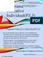 Programa Educativo Individual (P.e.i)