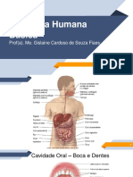 Anatomia Humana Básica - UN4 - Vídeo 07