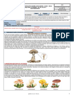 Plantilla Actividades Pedagógicas Semana 5 y 6 Grado 6°