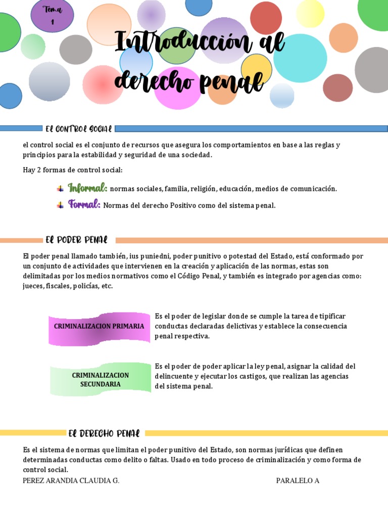 Criminalización Primaria y Secundaria | PDF | Derecho penal | Gobierno