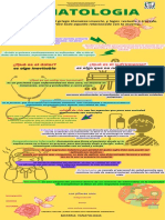 TANATOLOGIA Infografia