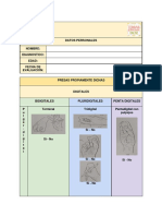 Evaluación - Presas