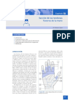 Cap 35 TO en disfunciones fisicas (lesion tendones flexores) (1)