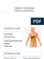 6 Tracto Digestivo