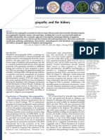 Thrombotic Microangiopathy and The Kidney