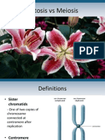 Mitosis and Meiosis
