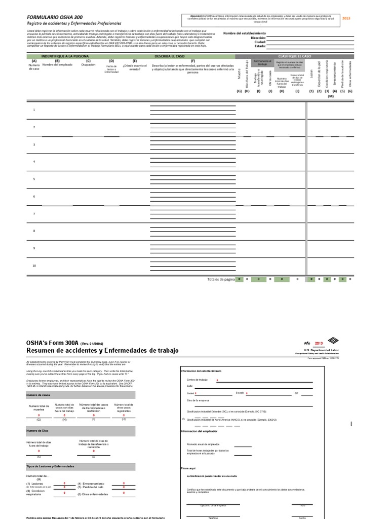 Formulario OSHA 300: Registro de Accidentes | PDF | Administración de ...