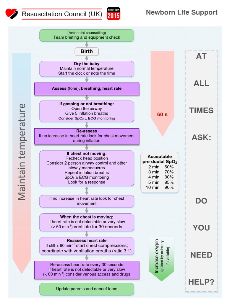 Neonatal Life Support UK Ressusstation Council G2015 - NLS | Download ...