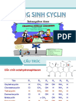 Kháng Sinh Tetracyclin