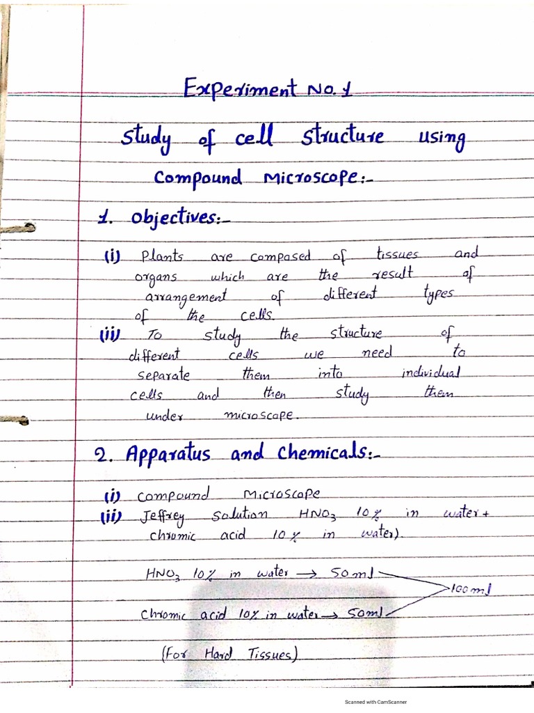 Botany Practical | PDF