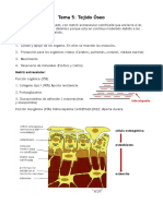 Tema 5 Organografía