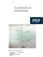 B oxidación en peroxisomas
