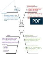 Escenario Sociocultural Mapa de Araña