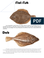 Top Fish-Species, PDF, Salmon
