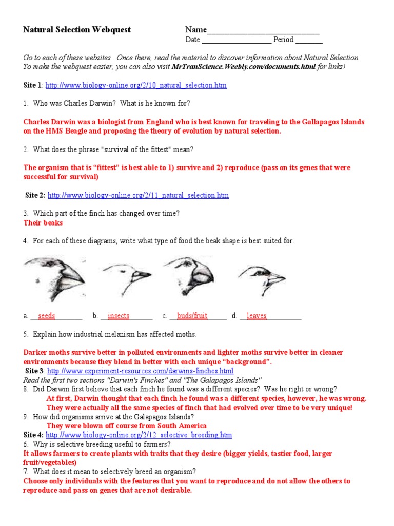 Natural Selection Genius Challenge The Answers You Ve Been Waiting For - 5stzibb