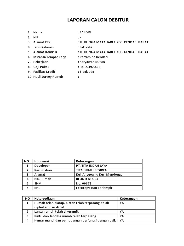 Laporan Calon Debitur PT Djavino | PDF