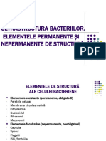 Ultrastr. bacteriilor_14