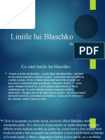 Liniile Lui Blaschko