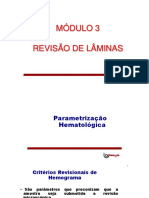 REVISÃO DE LÂMINAS HEMATOLÓGICAS