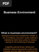 Business Environment