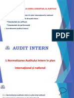 Curs 2 - Normalizarea Si Cadrul Conceptual Al Auditului Intern