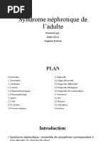 Syndrome néphrotique de l’adulte
