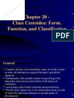 Class Cestoidea: Form, Function, and Classification
