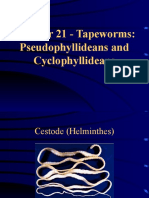 Chapter 21 - Tapeworms: Pseudophyllideans and Cyclophyllideans