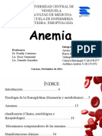 Anemia Grupo #2