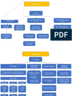 Agostino - Mappa Concettuale
