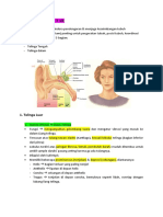 Rangkuman Anatomy Telinga