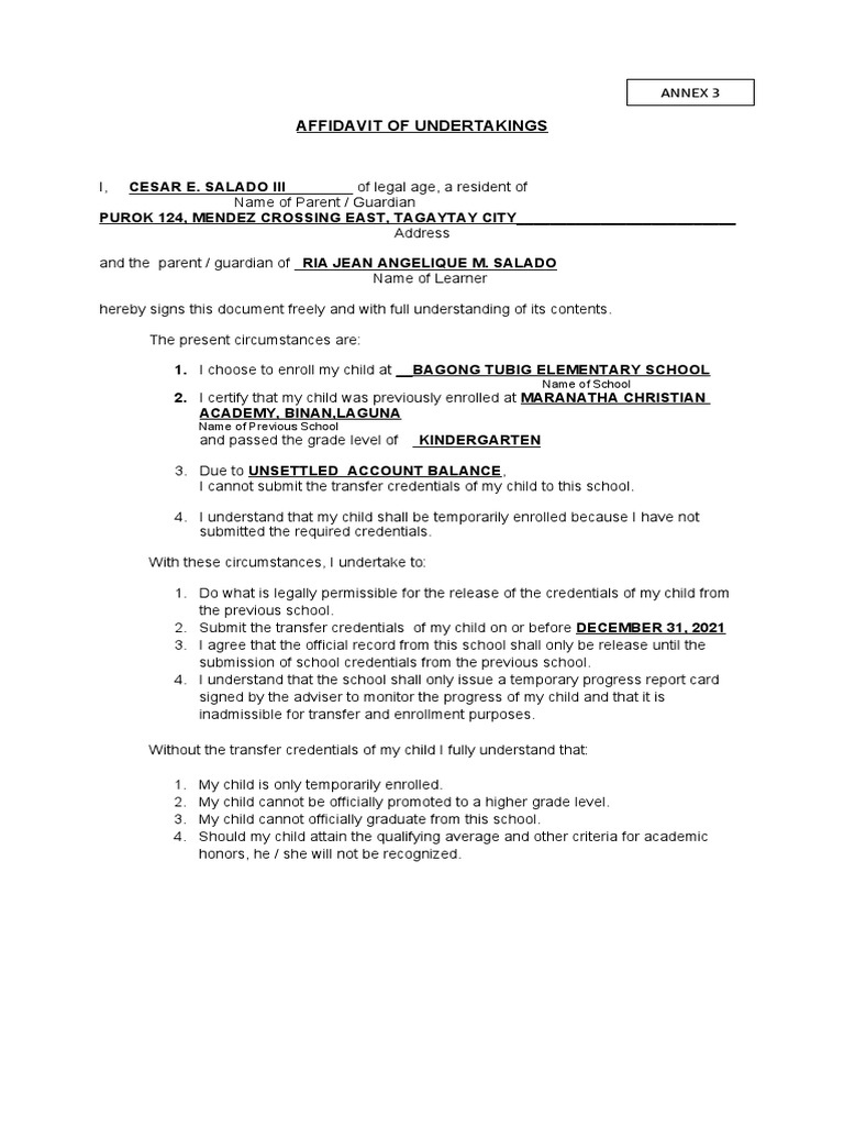 DepEd Affidavit of Undertaking 2024 | PDF | Credential | Government