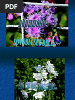 drummond so podia ser dele