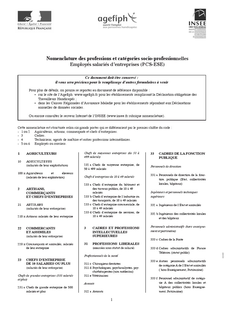 Nomenclature des Professions et CSP | PDF | Enseignants | Informatique