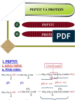 LÝ THUYẾT PEPTIT VÀ PROTEIN