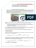 6-Teoria - Magnetismo - Campo Magnetico