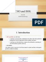Cho and BHK: Nasrullah M.Phil Biotechnology