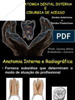 Anatomia Dental Interna e Cirurgia de Acesso - Anteriores e Posteriores - Lavínia