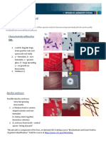 Bacillus SPP ID Chart Branded 508