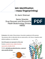 Protein Identification