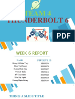 Team 4 Week 6 Report