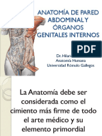 Anatomía de Pared Abdominal y Órganos Genitales Internos