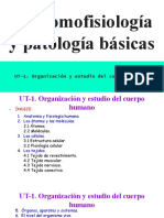 UT-1. Anatomofisiología y Patología Básicas