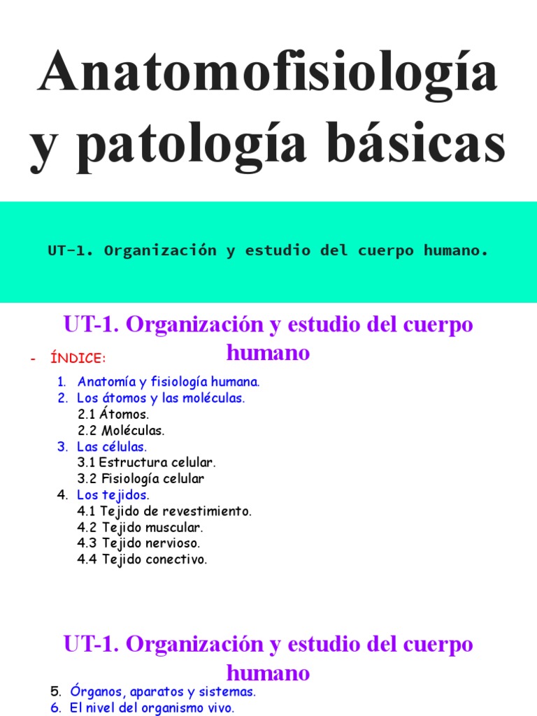 UT-1. Anatomofisiología y Patología Básicas | PDF | Citoplasma