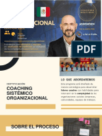 Coaching Sistémico Organizacional - 2022
