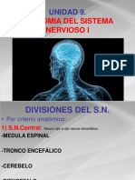 Neuroanatomia I - Imagenes