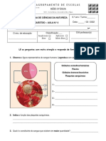 Qan.º4 - Sistema Cardiovascular