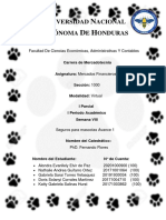 Seguros mascotas Honduras