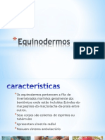 Equinodermos