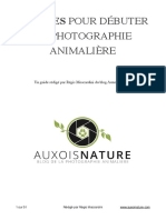 5 Étapes Pour Débuter en Photographie Animalière